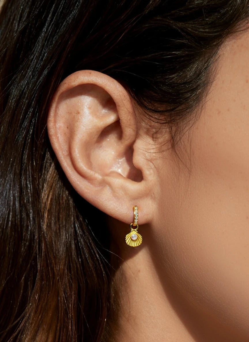 Single Seashell Dangle Earring